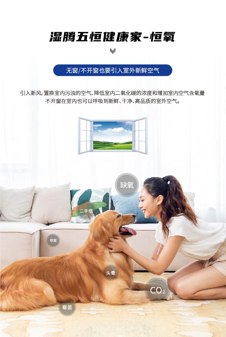 五恒健康家页头_画板 1-26.jpg